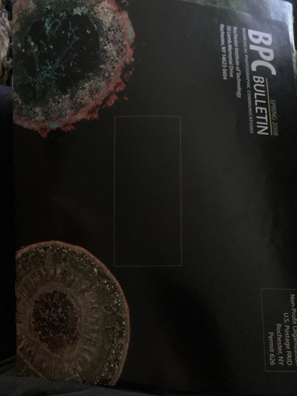 BPC Magazine - Picture 4 of 6